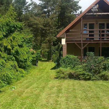 Kofi Garden