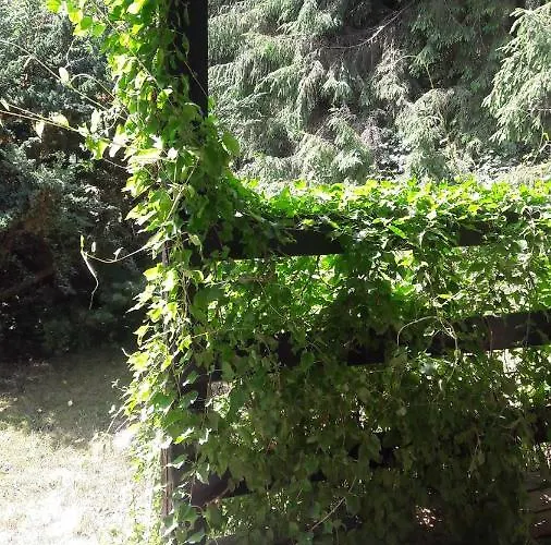 Kofi Garden Prázdninový dům