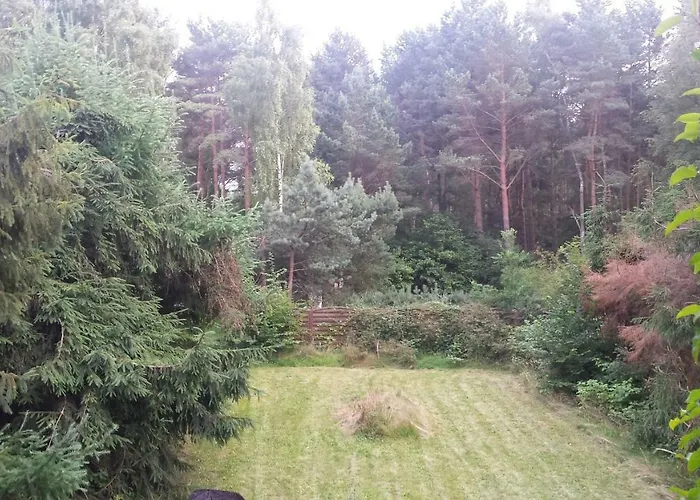 Kofi Garden * Dębki